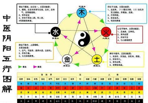 金 水|金生水（五行对应关系）